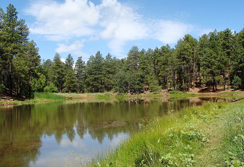 GROOM CREEK HORSE CAMP（亚利桑那州）