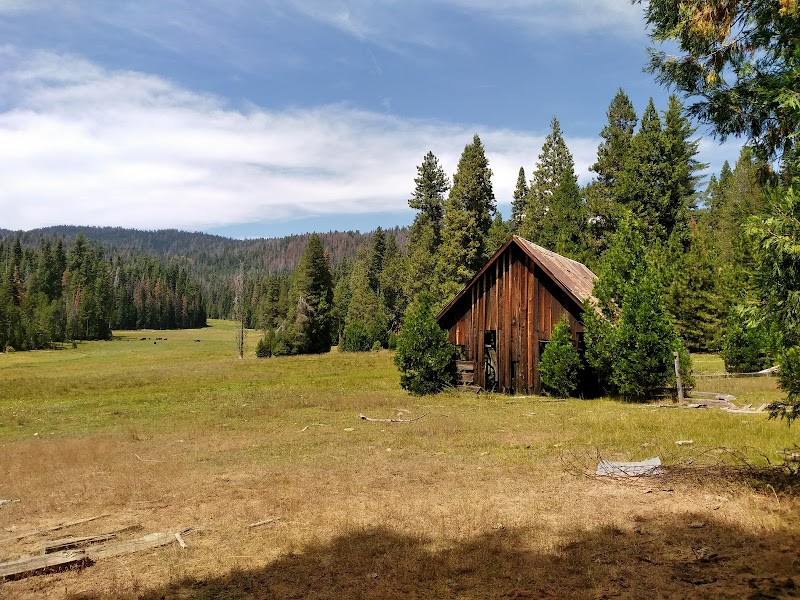 KELTY MEADOW（加利福尼亚州）