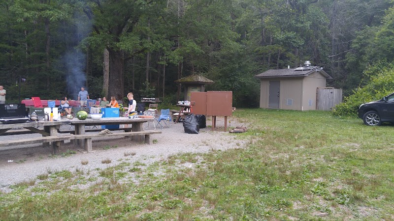 COVE CREEK LOWER GROUP CAMP（北卡罗来纳州）