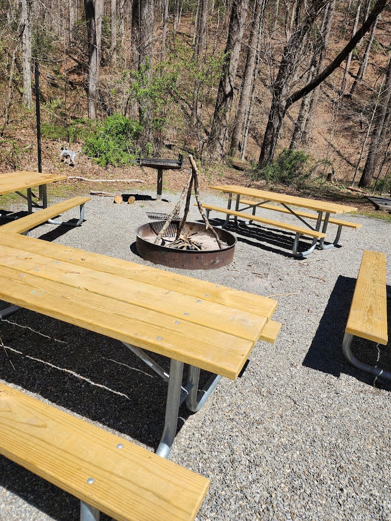WHITE PINE SOUTH GROUP CAMP（北卡罗来纳州）