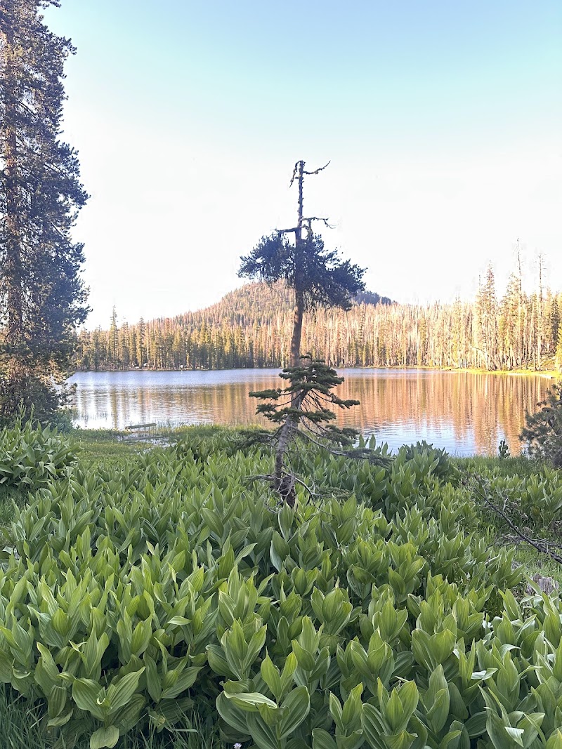SUMMIT LAKE STOCK CORRAL（加利福尼亚州）