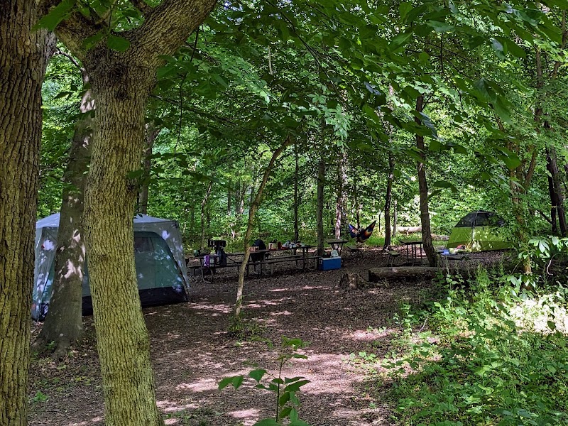 Marsden Tract Group Campsite（马里兰州）