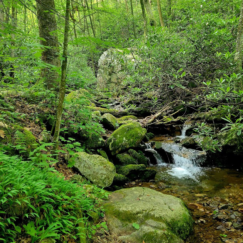 Rock (国家森林)