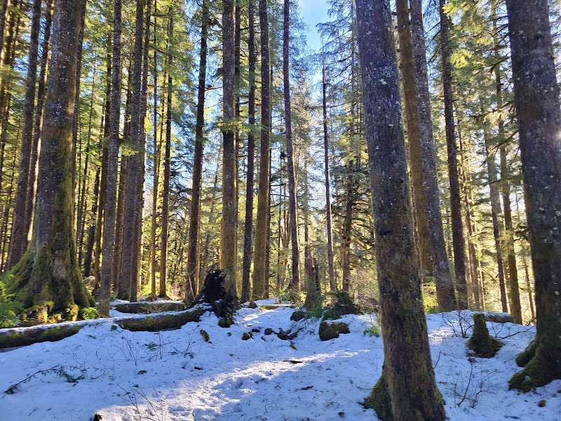 Tulalip Group Camp（华盛顿州）