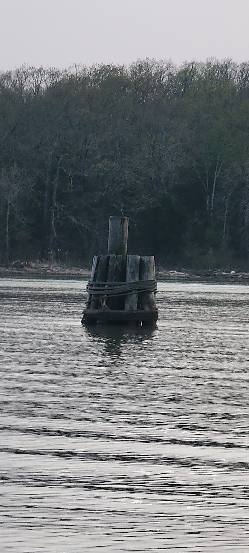 Short Mountain Cove