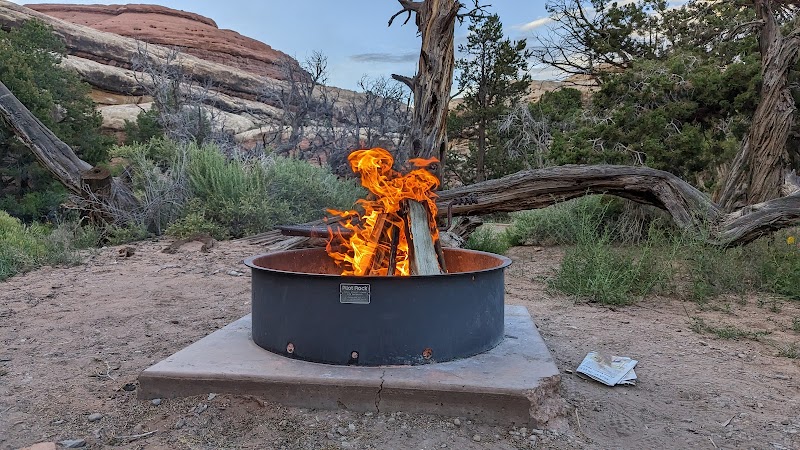 Canyonlands National Park Needles District GROUP Campsites（犹他州）
