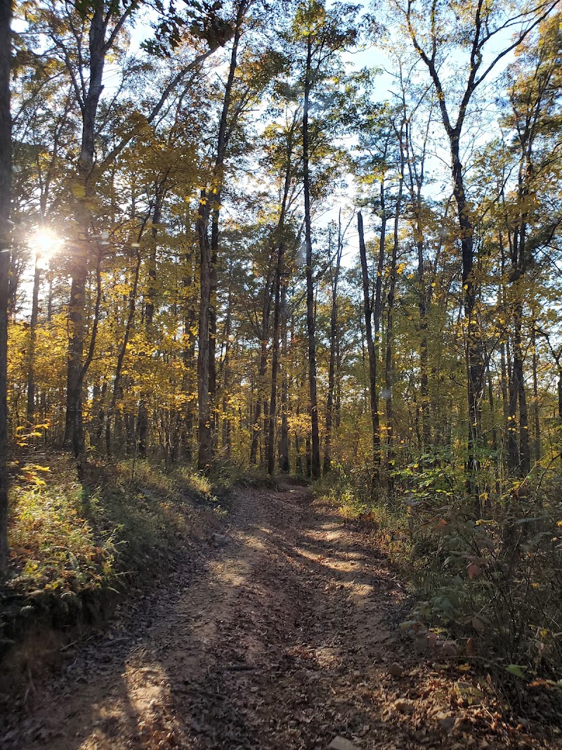 Moccasin Gap