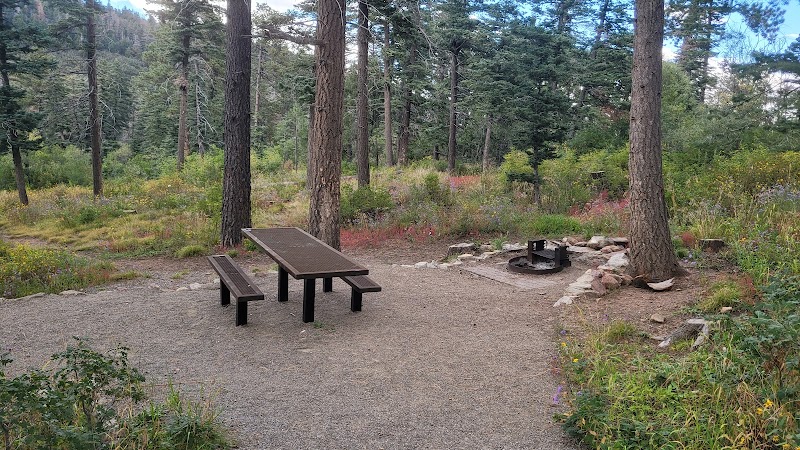 BALSAM GLADE PICNIC SITE（新墨西哥州）
