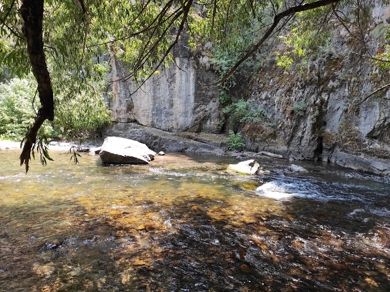 Card Picnic Area（犹他州）