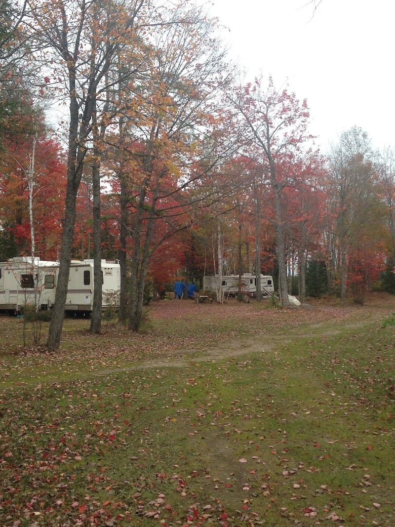 Clear Lake Campsite（密歇根州）