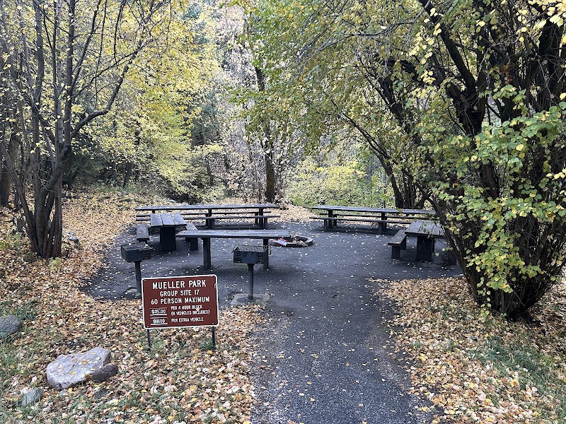 MUELLER PARK GROUP PICNIC