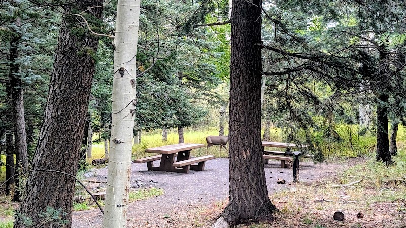 NINE MILE PICNIC SITE（新墨西哥州）