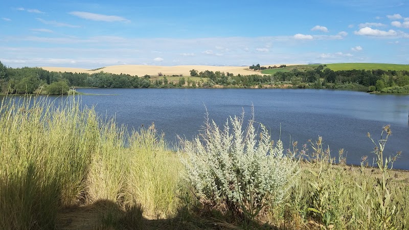 Rooks Park (WA) Bennington Lake（华盛顿州）