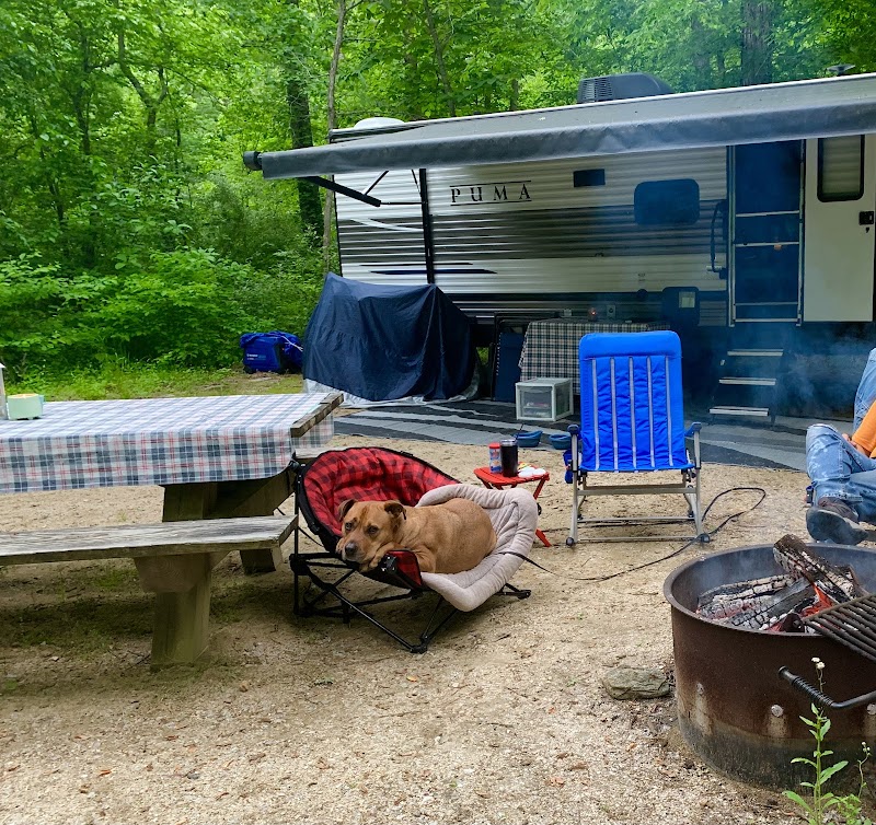 CAVE MOUNTAIN LAKE GROUP CAMP（弗吉尼亚州）