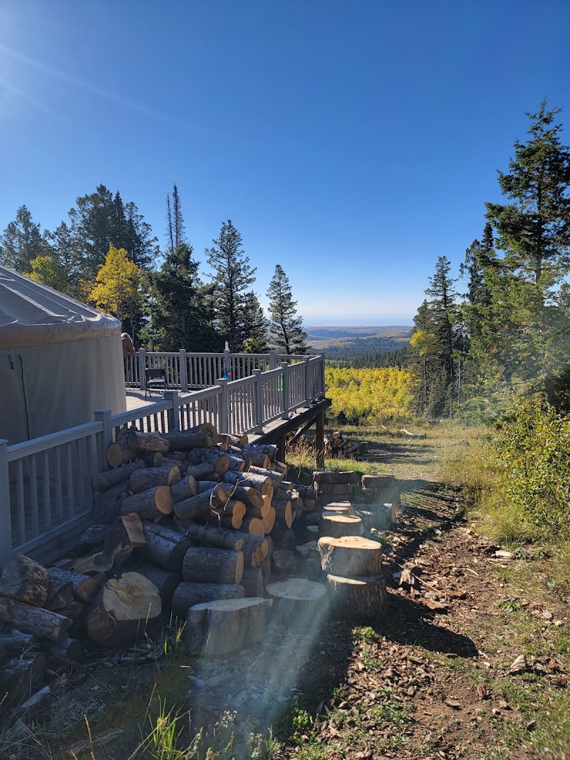 GRIZZLY RIDGE YURT（犹他州）