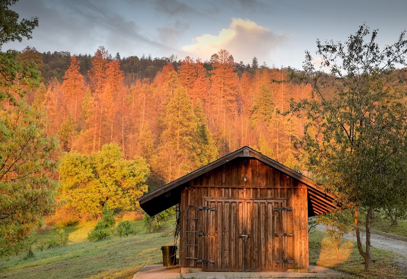 Grouse Valley Cabins（加利福尼亚州）