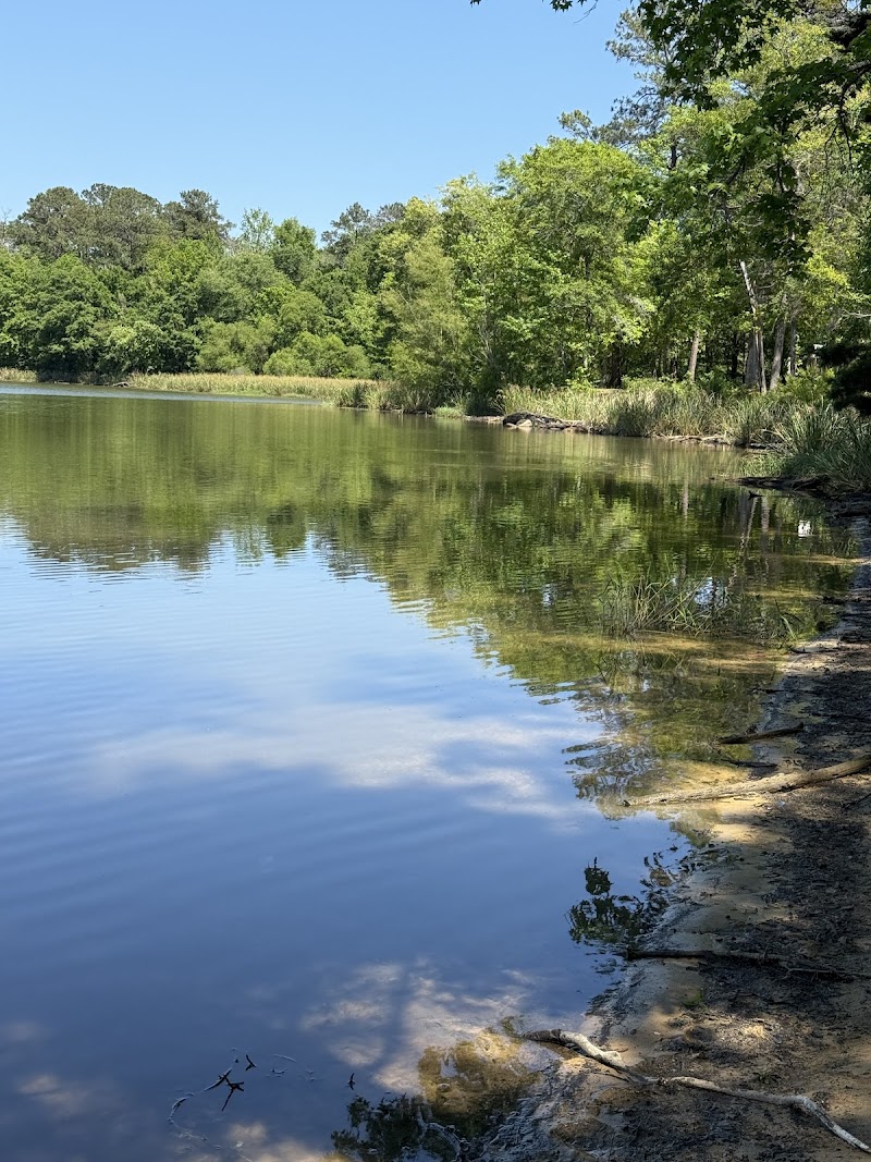 Hatchechubbee Creek Park（佐治亚州）