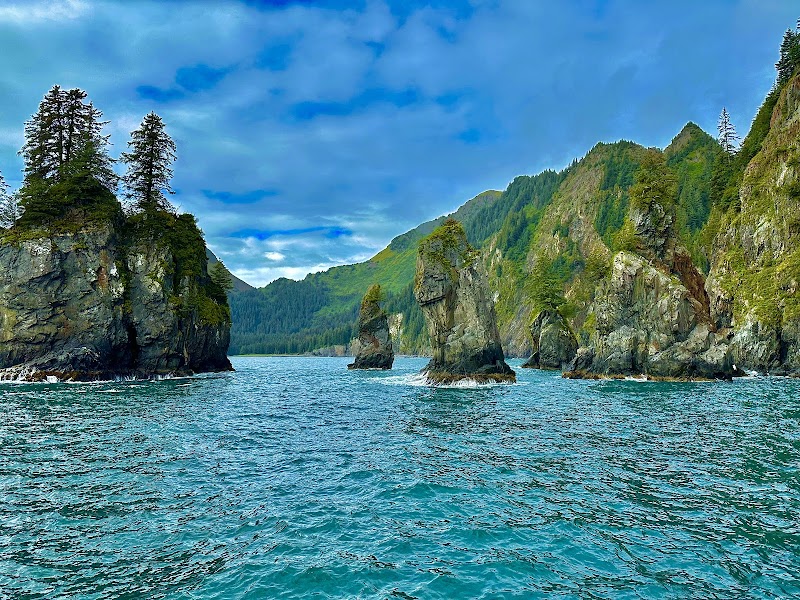 Kenai Fjords National Park Cabins（阿拉斯加州）
