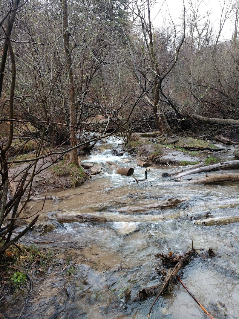 LAS HUERTAS PICNIC SITE（新墨西哥州）