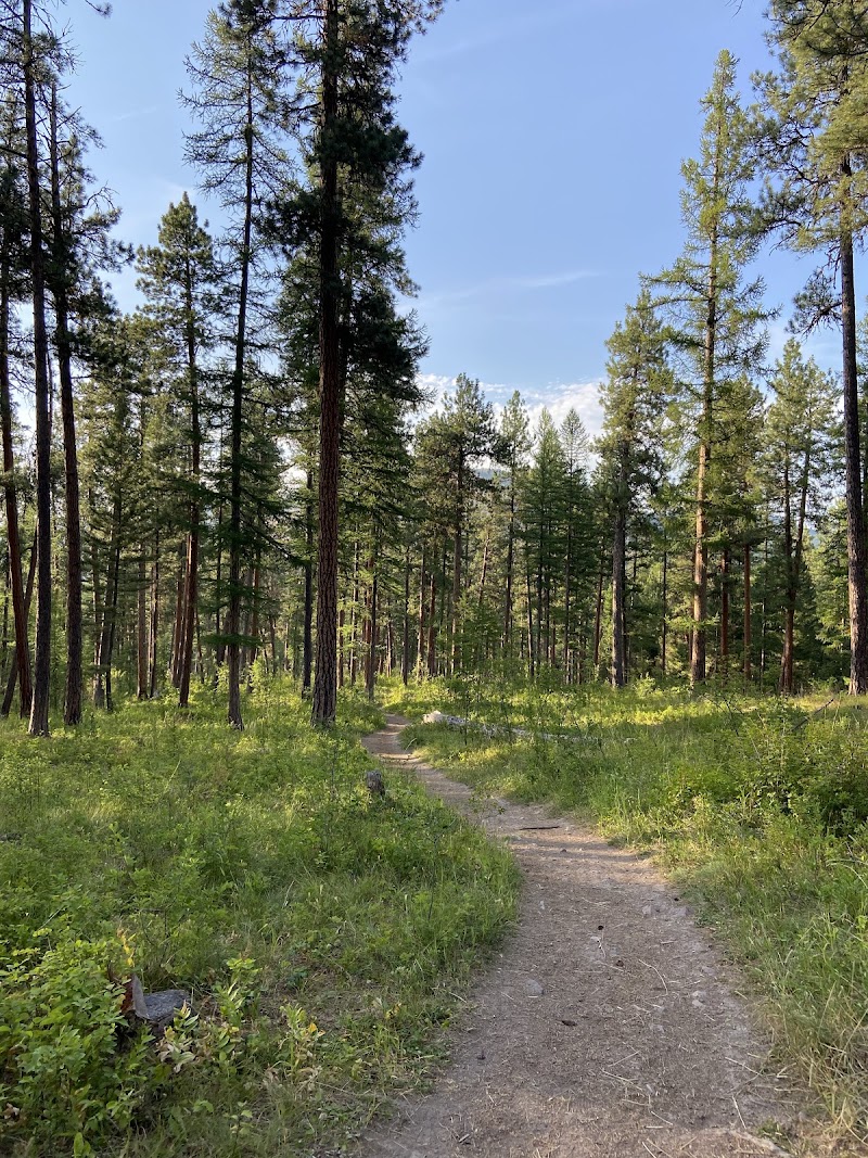 PATTEE CANYON PICNIC AREA（蒙大拿州）