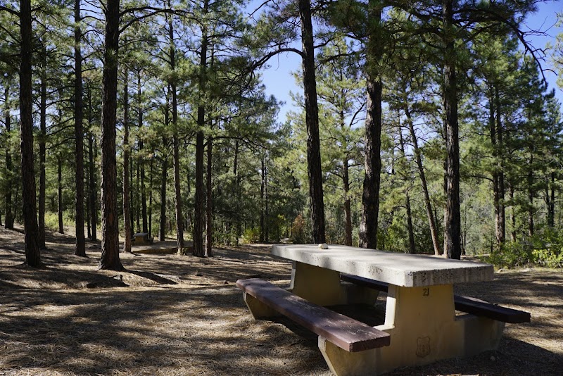 PINE FLAT PICNIC SITES - A and B（新墨西哥州）