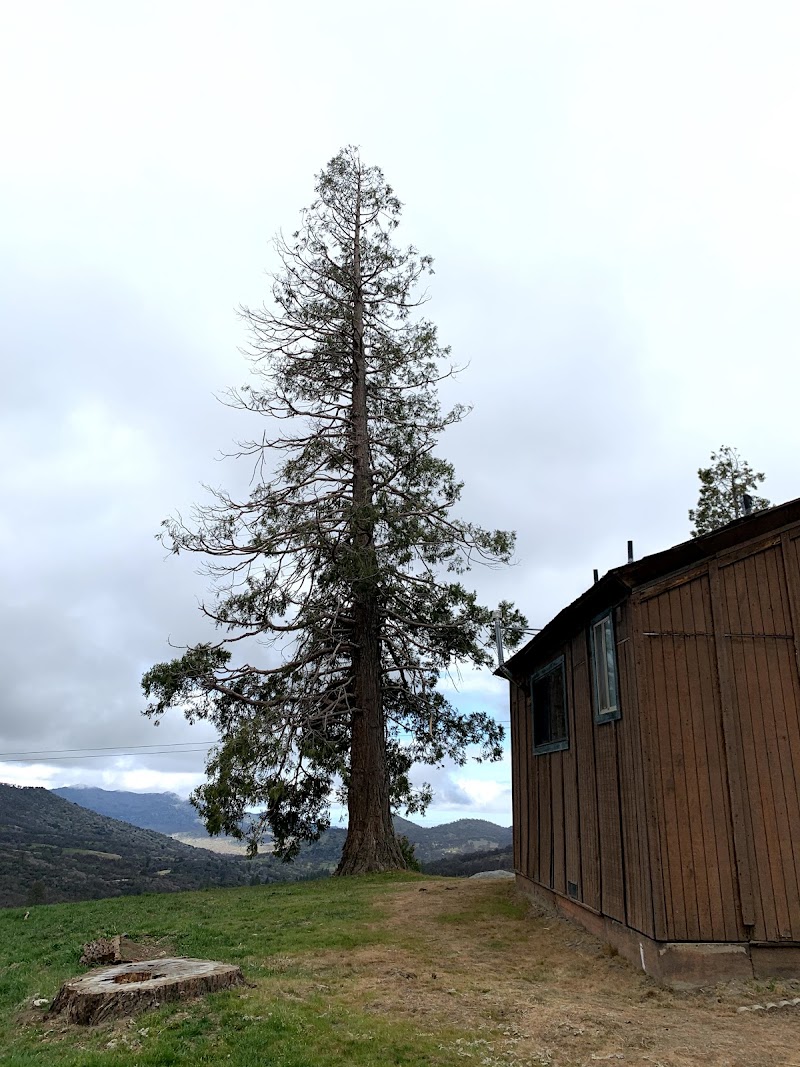 POSO GUARD STATION CABIN（加利福尼亚州）