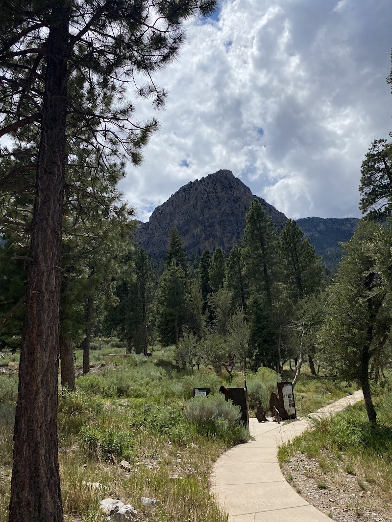 CATHEDRAL ROCK PICNIC AREA