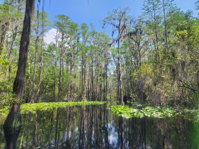 Okefenokee National Wildlife Refuge Overnight Camping Permit（佐治亚州）