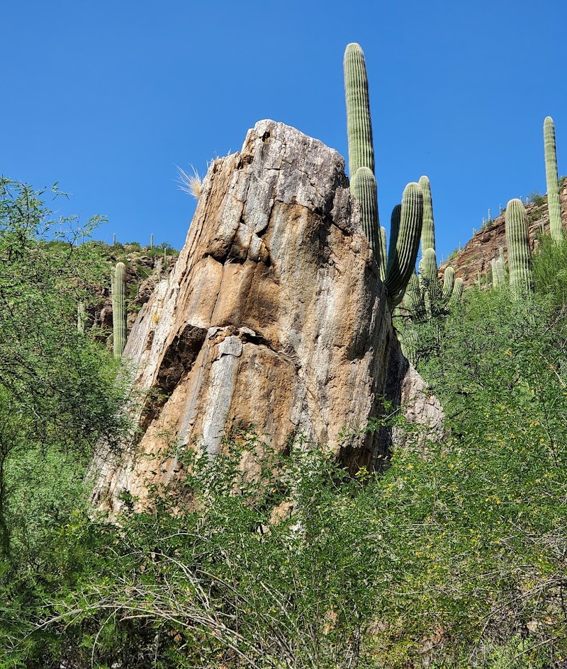 SABINO CANYON RECREATION AREA CACTUS RAMADA 2（亚利桑那州）