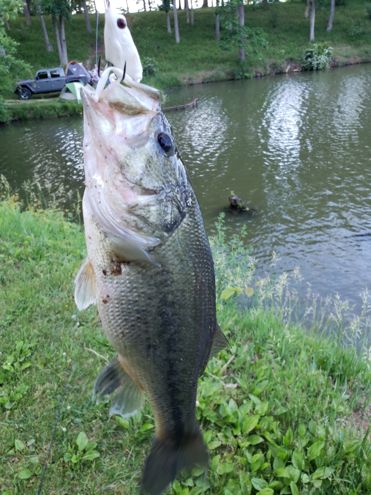 Waverly Day Use (Columbus Lake)