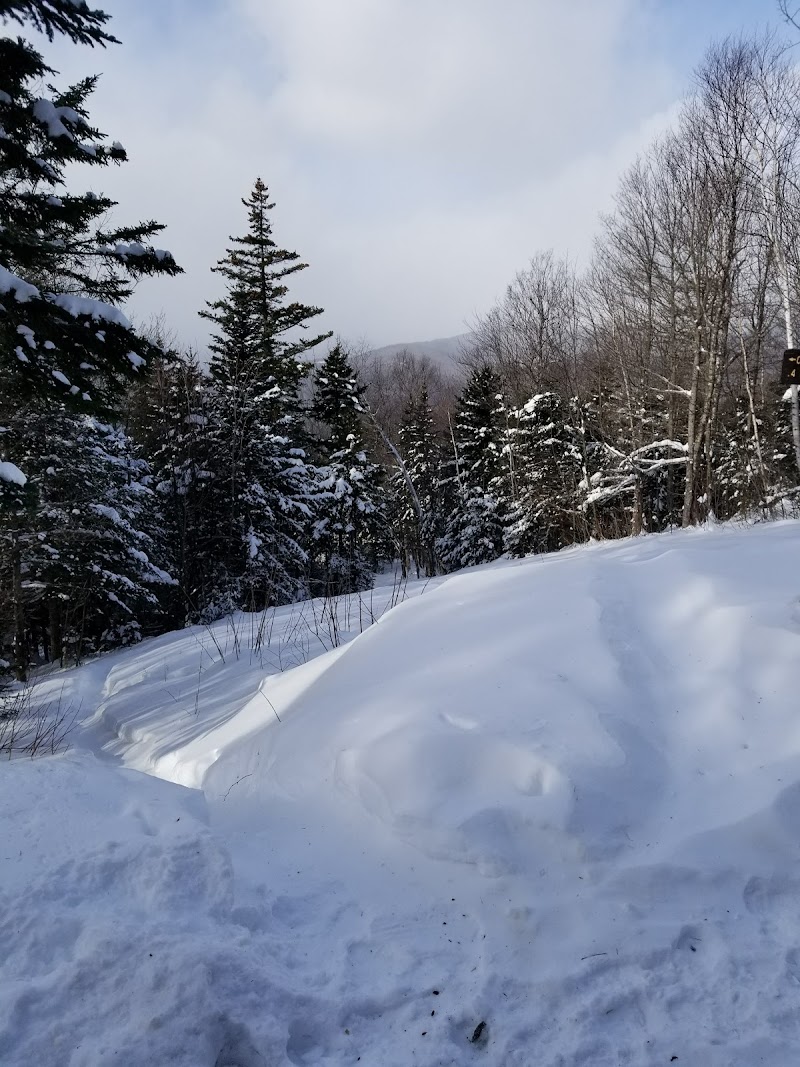 BLACK MOUNTAIN CABIN（新罕布什尔州）