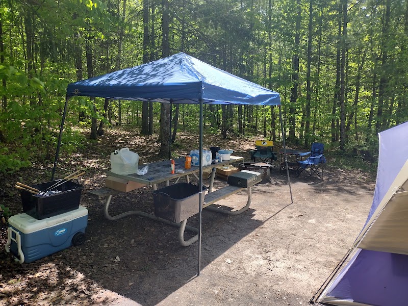 Council Lake Campsites（密歇根州）