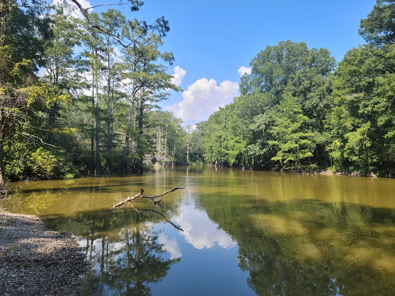 DELTA NATIONAL FOREST - CAMPING