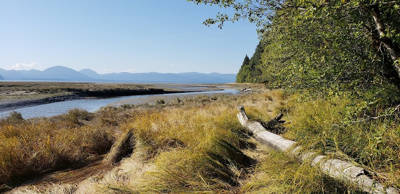 MALLARD SLOUGH CABIN（阿拉斯加州）