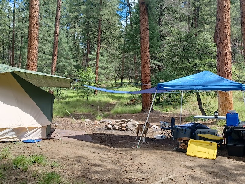 Reynolds Creek Group Camp (ID)