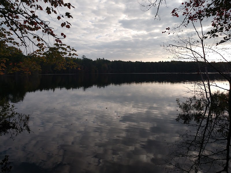 Swan Lake Campsites（密歇根州）