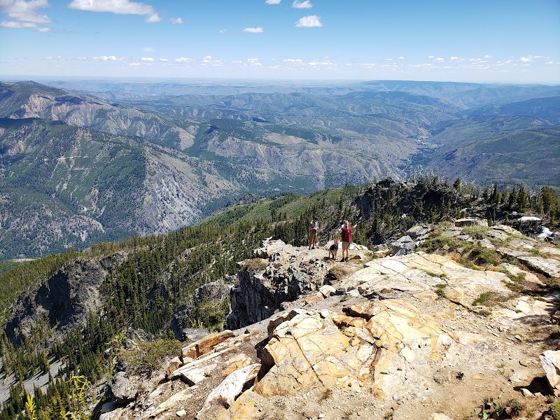 Tyee Lookout（华盛顿州）