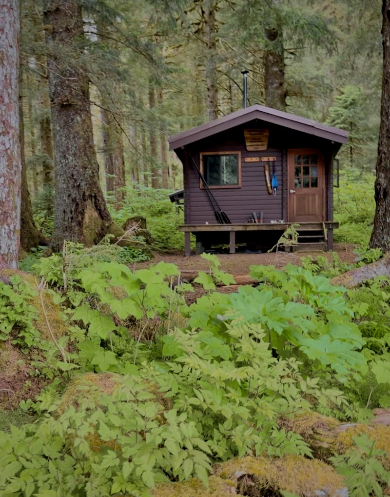 YOUNG LAKE (NORTH) CABIN（阿拉斯加州）