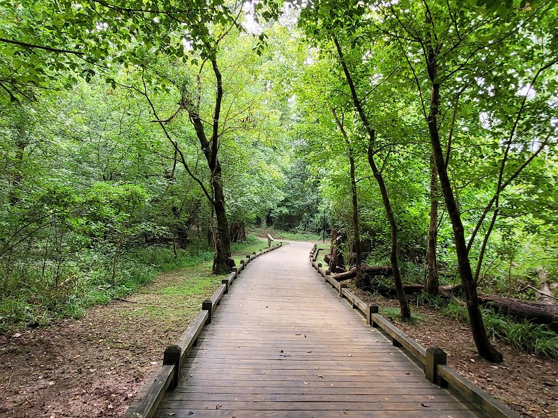 Congaree Picnic Shelter（南卡罗来纳州）