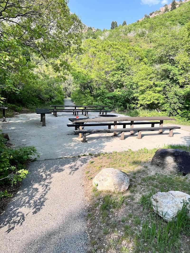 DOGWOOD DAY USE（犹他州）