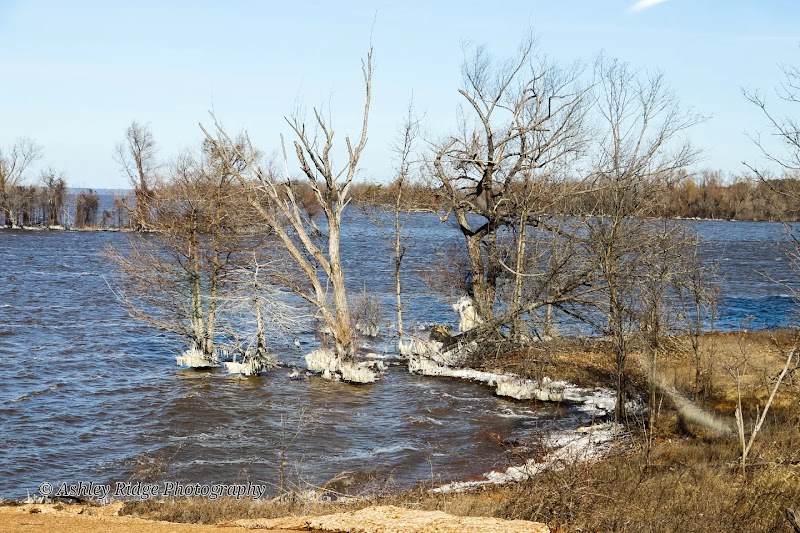 OAK PARK (WRIGHT PATMAN LAKE)（德克萨斯州）