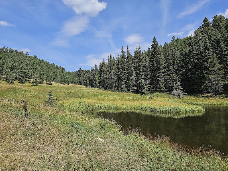 Rampart Range Recreation Area Designated Dispersed Camping