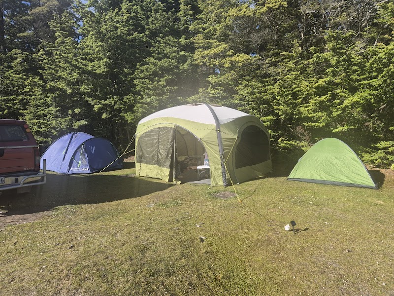 Hawdon Shelter Campsite