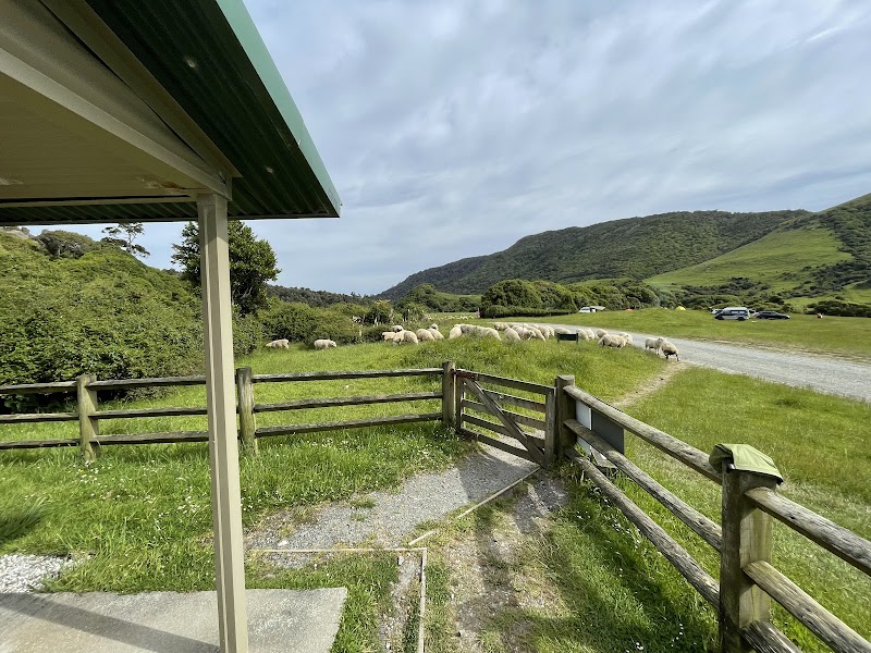 Pūrākaunui Bay Campsite