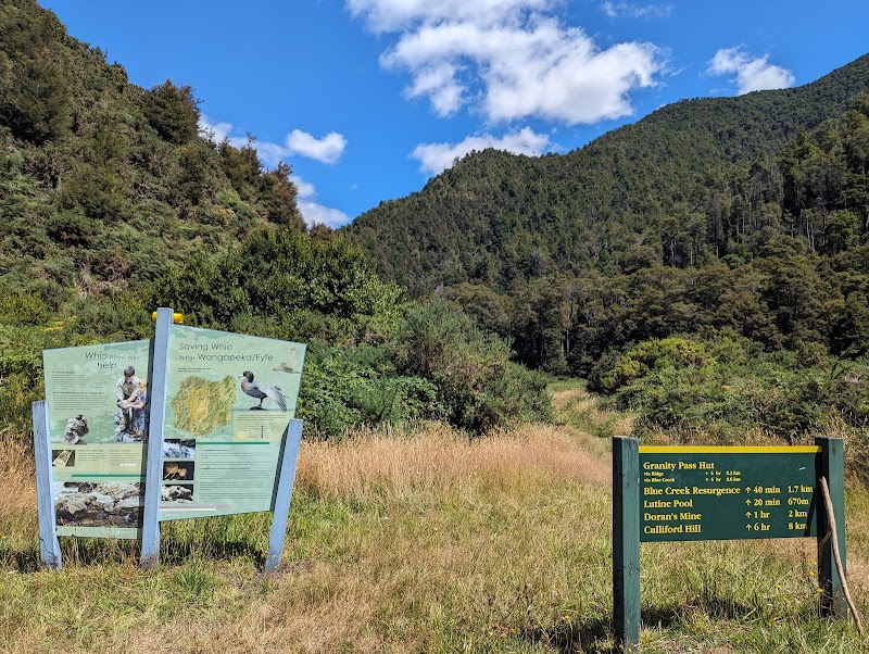 Courthouse Flat Campsite