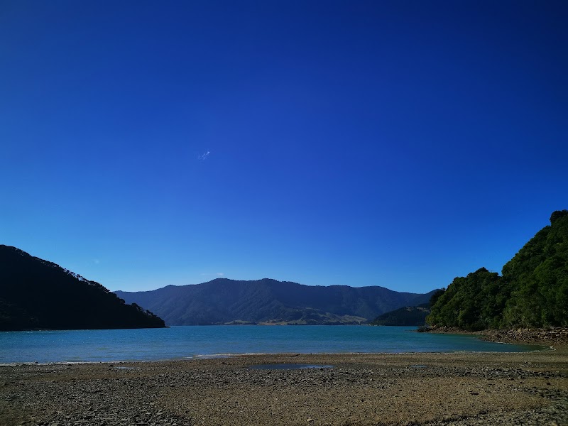 Nikau Cove Campsite