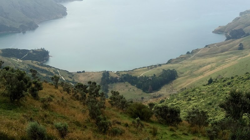 Picnic Bay Campsite