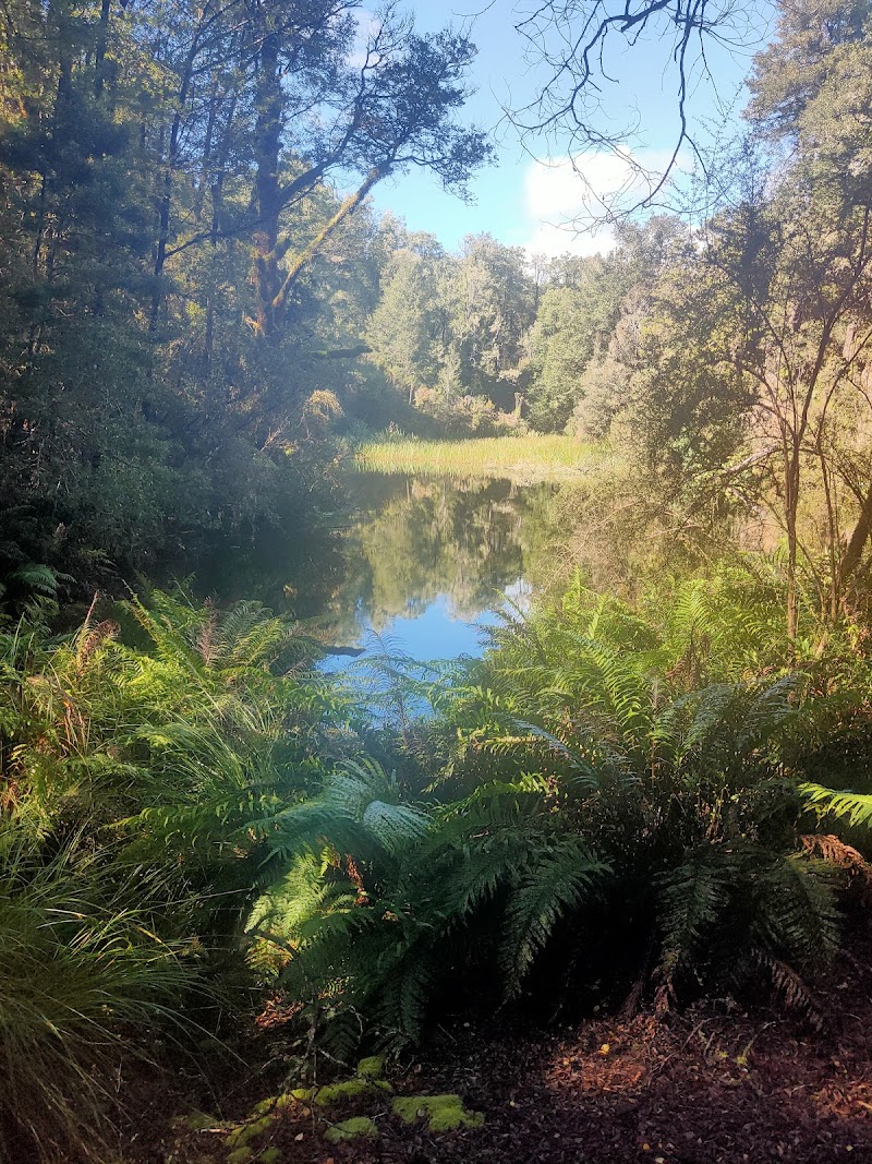 Nelson Creek